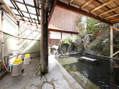 Ryokan Yudanaka Seifuso 3*
